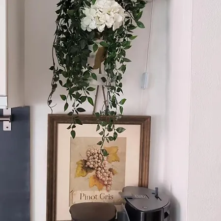 アパート Lakeview Casa Camelia 21 Acquaseria