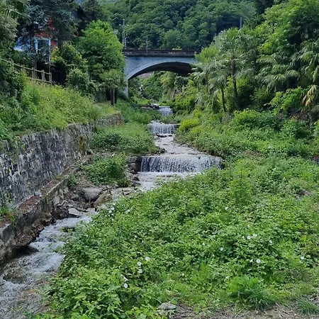 Lakeview Casa Camelia 21 *