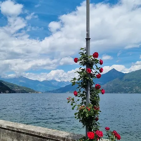 Lägenhet Lakeview Casa Camelia 21 *